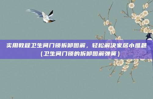 实用教程卫生间门锁拆卸图解，轻松解决家居小难题（卫生间门锁的拆卸图解弹簧）