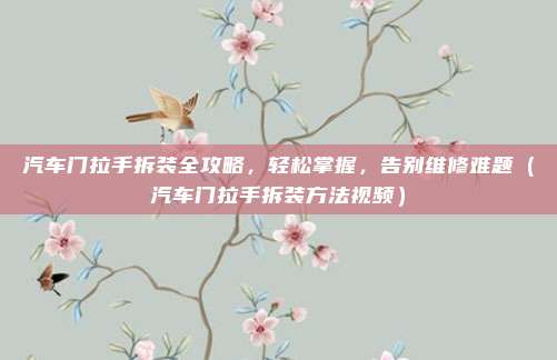 汽车门拉手拆装全攻略，轻松掌握，告别维修难题（汽车门拉手拆装方法视频）