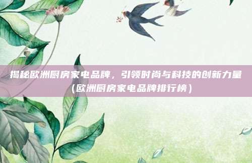 揭秘欧洲厨房家电品牌，引领时尚与科技的创新力量（欧洲厨房家电品牌排行榜）