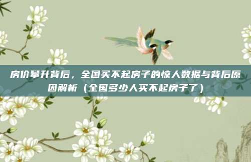 房价攀升背后,全国买不起房子的惊人数据与背后原因解析(全国多少人买不起房子了)