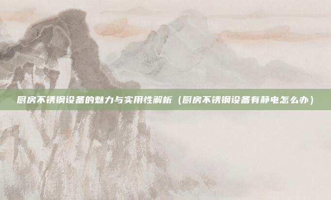 厨房不锈钢设备的魅力与实用性解析（厨房不锈钢设备有静电怎么办）
