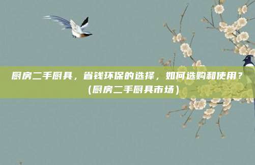 厨房二手厨具，省钱环保的选择，如何选购和使用？（厨房二手厨具市场）