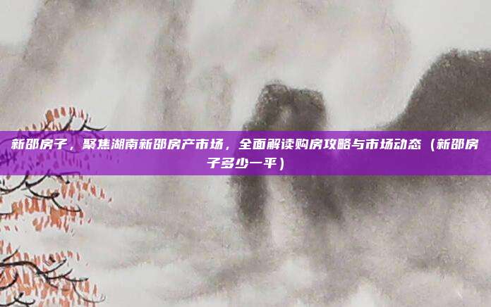 新邵房子,聚焦湖南新邵房产市场,全面解读购房攻略与市场动态(新邵房子多少一平)