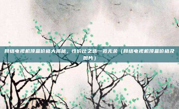 网络电视机顶盒价格大揭秘，性价比之选一览无余（网络电视机顶盒价格及图片）