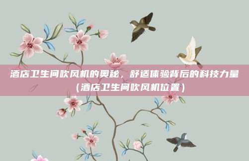 酒店卫生间吹风机的奥秘,舒适体验背后的科技力量(酒店卫生间吹风机位置)