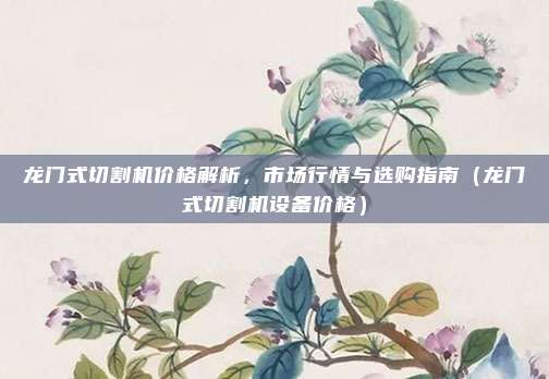 龙门式切割机价格解析，市场行情与选购指南（龙门式切割机设备价格）