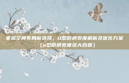 家居空间布局新选择,U型厨房宽度解析及优化方案(u型厨房宽度多大合适)