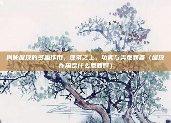 揭秘屋顶的多重作用，建筑之上，功能与美观兼备（屋顶作用是什么意思啊）