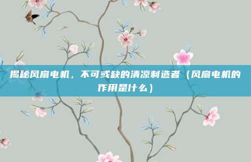 揭秘风扇电机，不可或缺的清凉制造者（风扇电机的作用是什么）