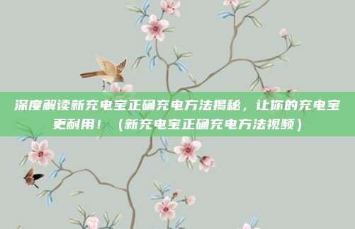 深度解读新充电宝正确充电方法揭秘,让你的充电宝更耐用!(新充电宝正确充电方法视频)