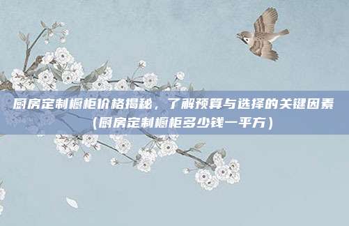 厨房定制橱柜价格揭秘，了解预算与选择的关键因素（厨房定制橱柜多少钱一平方）