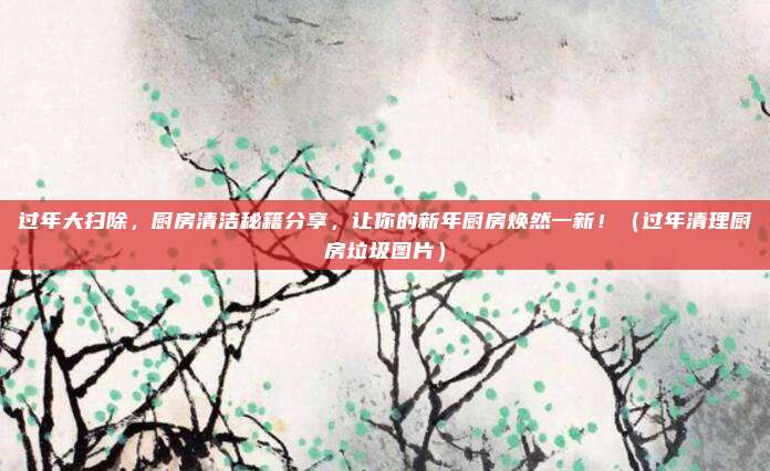 过年大扫除,厨房清洁秘籍分享,让你的新年厨房焕然一新!(过年清理厨房垃圾图片)