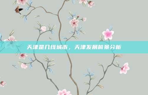 天津是几线城市，天津发展前景分析