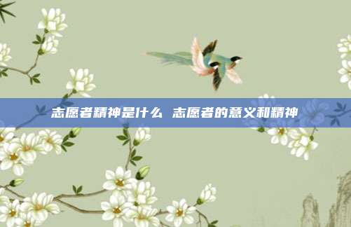 志愿者精神是什么 志愿者的意义和精神
