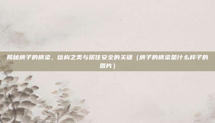 揭秘房子的横梁，结构之美与居住安全的关键（房子的横梁是什么样子的图片）