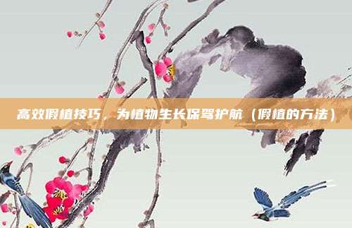 高效假植技巧,为植物生长保驾护航(假植的方法)