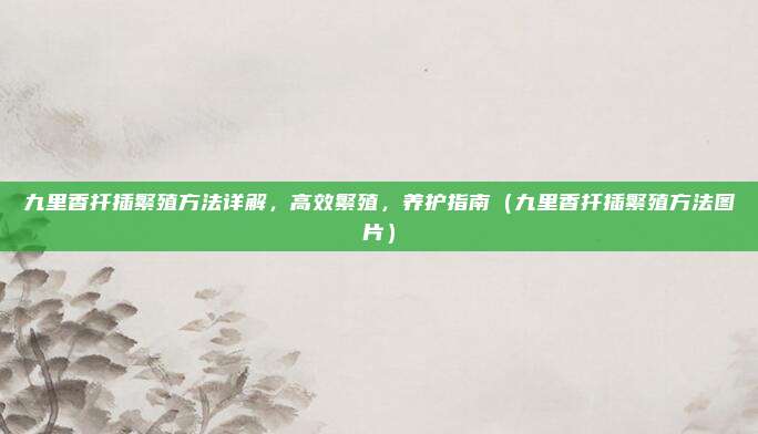 九里香扦插繁殖方法详解,高效繁殖,养护指南(九里香扦插繁殖方法图片)