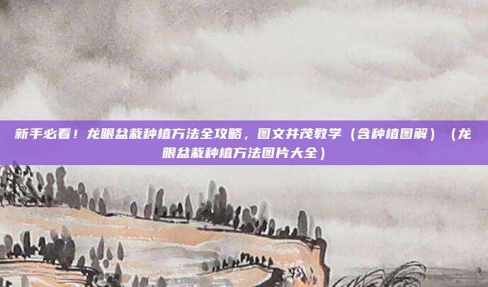 新手必看!龙眼盆栽种植方法全攻略,图文并茂教学(含种植图解)(龙眼盆栽种植方法图片大全)