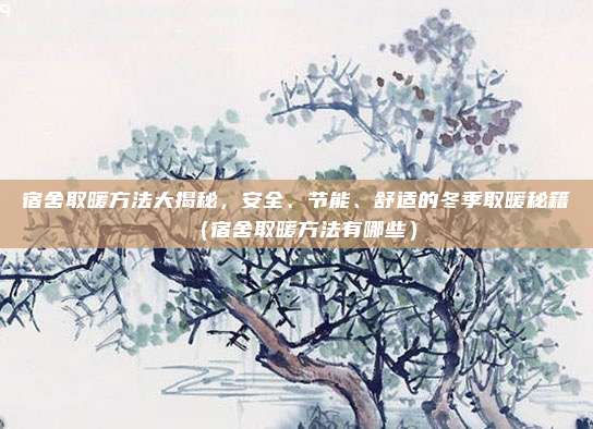 宿舍取暖方法大揭秘，安全、节能、舒适的冬季取暖秘籍（宿舍取暖方法有哪些）