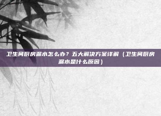 卫生间厨房漏水怎么办?五大解决方案详解(卫生间厨房漏水是什么原因)