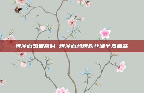 烤冷面热量高吗 烤冷面和烤粉丝哪个热量高