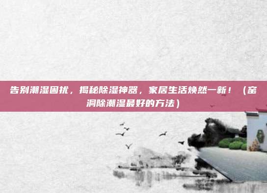 告别潮湿困扰,揭秘除湿神器,家居生活焕然一新!(窑洞除潮湿最好的方法)