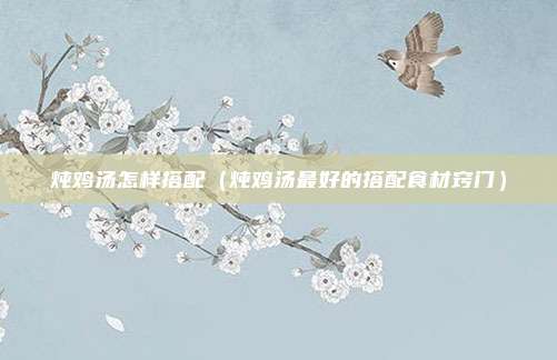 炖鸡汤怎样搭配（炖鸡汤最好的搭配食材窍门）