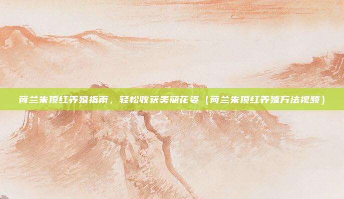 荷兰朱顶红养殖指南,轻松收获美丽花姿(荷兰朱顶红养殖方法视频)