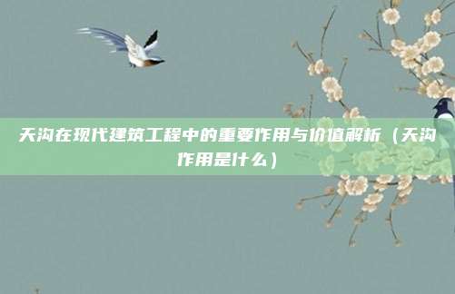 天沟在现代建筑工程中的重要作用与价值解析（天沟作用是什么）