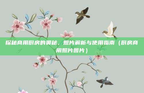 探秘商用厨房的奥秘，照片解析与使用指南（厨房商用照片图片）