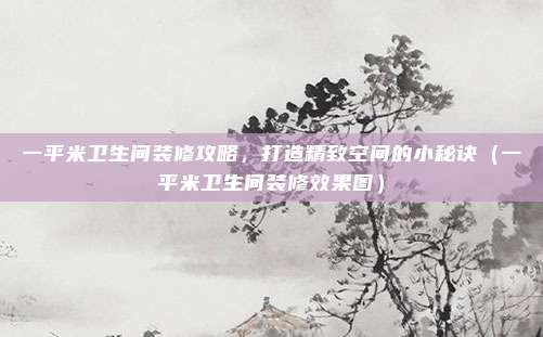一平米卫生间装修攻略,打造精致空间的小秘诀(一平米卫生间装修效果图)