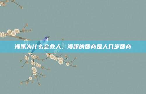 海豚为什么会救人,海豚的智商是人几岁智商