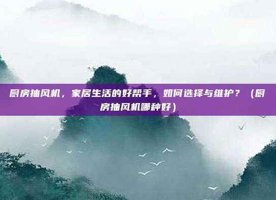 厨房抽风机,家居生活的好帮手,如何选择与维护?(厨房抽风机哪种好)