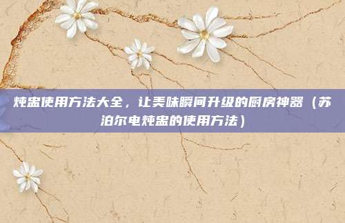 炖盅使用方法大全，让美味瞬间升级的厨房神器（苏泊尔电炖盅的使用方法）