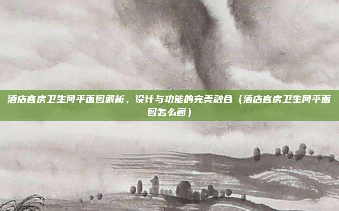 酒店客房卫生间平面图解析,设计与功能的完美融合(酒店客房卫生间平面图怎么画)