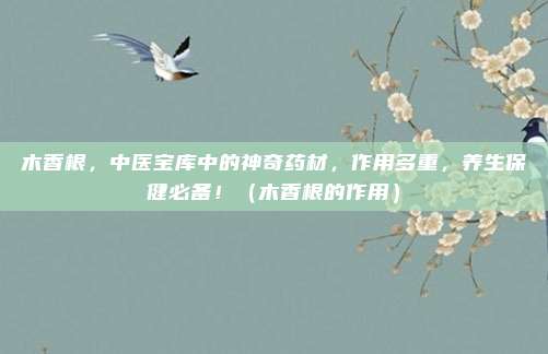 木香根,中医宝库中的神奇药材,作用多重,养生保健必备!(木香根的作用)
