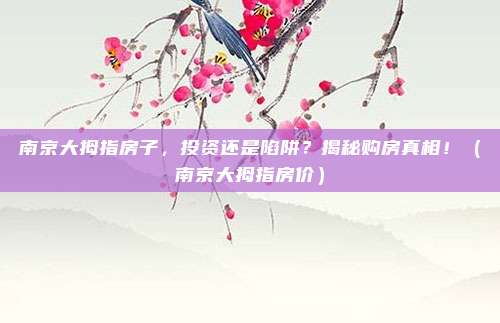 南京大拇指房子，投资还是陷阱？揭秘购房真相！（南京大拇指房价）