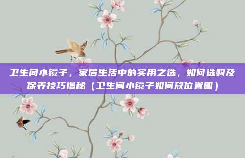 卫生间小镜子,家居生活中的实用之选,如何选购及保养技巧揭秘(卫生间小镜子如何放位置图)