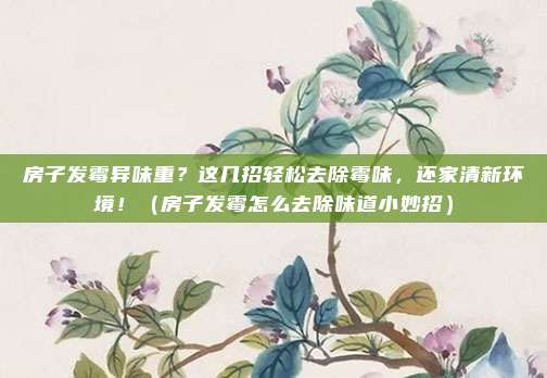 房子发霉异味重?这几招轻松去除霉味,还家清新环境!(房子发霉怎么去除味道小妙招)