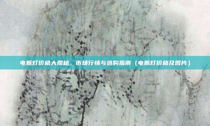 电瓶灯价格大揭秘,市场行情与选购指南(电瓶灯价格及图片)