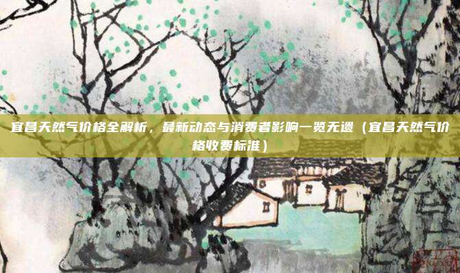 宜昌天然气价格全解析，最新动态与消费者影响一览无遗（宜昌天然气价格收费标准）