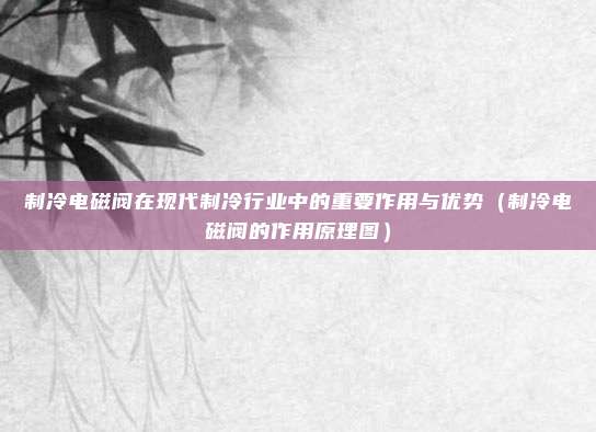 制冷电磁阀在现代制冷行业中的重要作用与优势(制冷电磁阀的作用原理图)