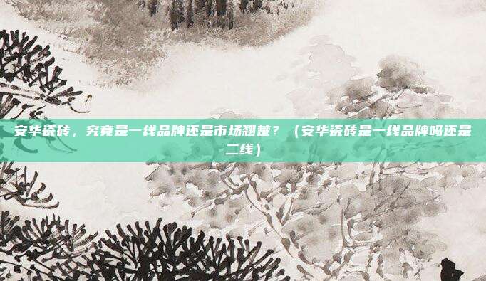 安华瓷砖,究竟是一线品牌还是市场翘楚?(安华瓷砖是一线品牌吗还是二线)