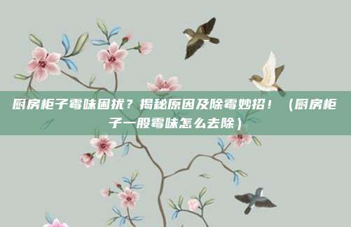 厨房柜子霉味困扰?揭秘原因及除霉妙招!(厨房柜子一股霉味怎么去除)