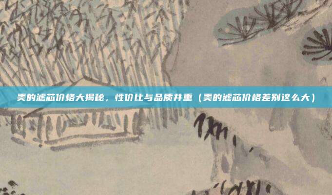 美的滤芯价格大揭秘，性价比与品质并重（美的滤芯价格差别这么大）