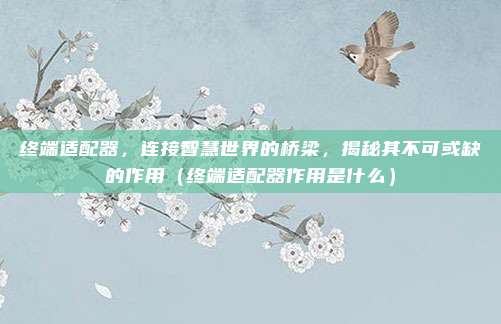 终端适配器,连接智慧世界的桥梁,揭秘其不可或缺的作用(终端适配器作用是什么)