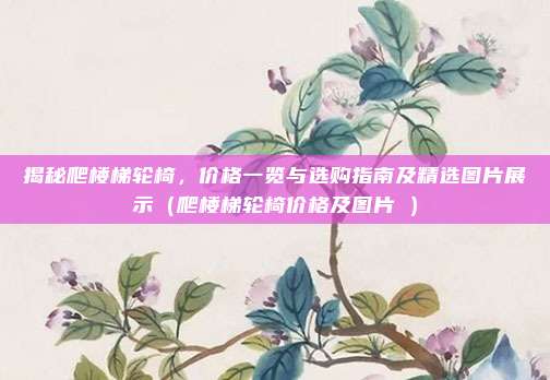 揭秘爬楼梯轮椅,价格一览与选购指南及精选图片展示(爬楼梯轮椅价格及图片∴)
