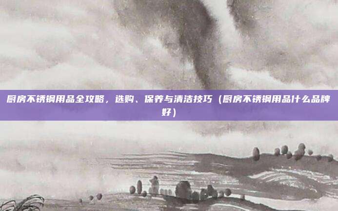 厨房不锈钢用品全攻略,选购、保养与清洁技巧(厨房不锈钢用品什么品牌好)