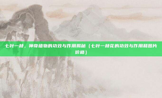 七叶一枝,神奇植物的功效与作用揭秘(七叶一枝花的功效与作用和图片价格)