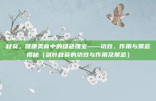 秋葵，健康美食中的绿色瑰宝——功效、作用与禁忌揭秘（剑叶秋葵的功效与作用及禁忌）